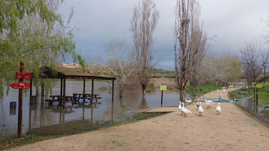 El alcalde de Toledo pide "prudencia" este sábado por el elevado caudal del Tajo: "Las próximas 24 horas son clave"