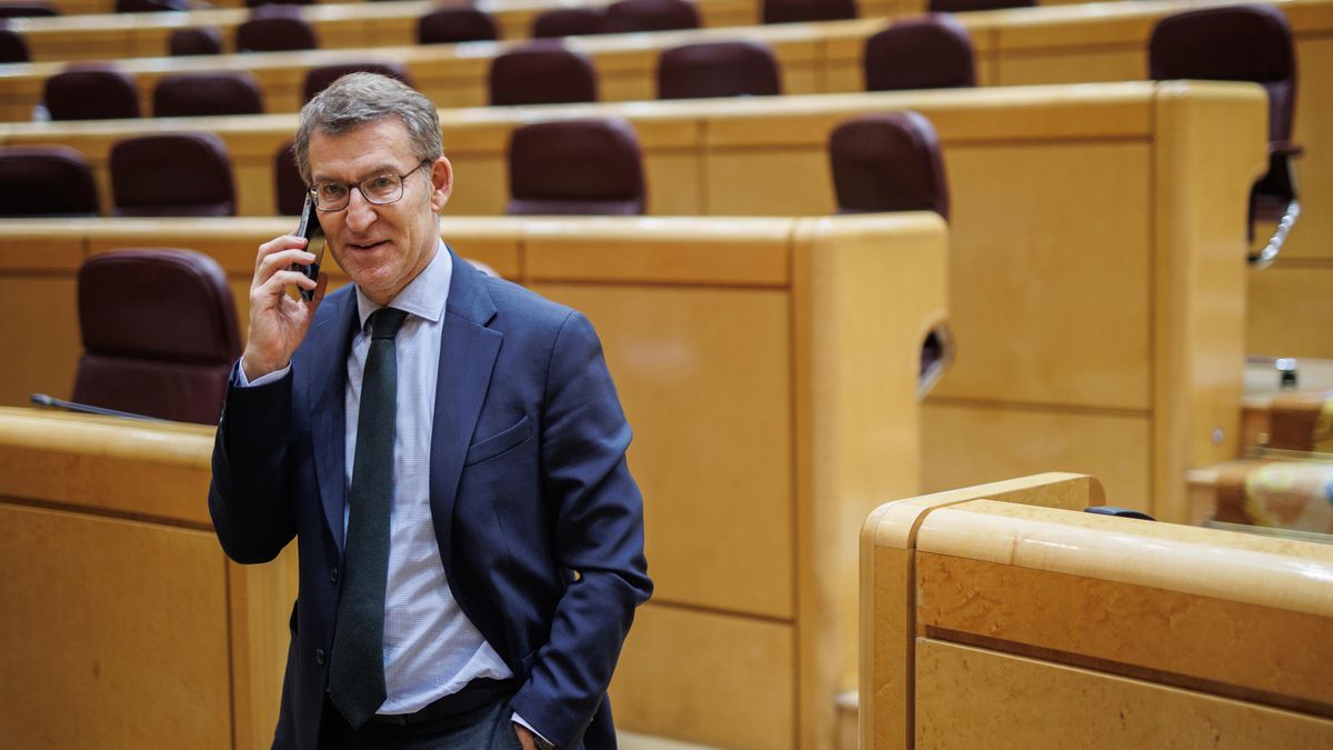 Archivo - El presidente del Partido Popular (PP), Alberto Núñez Feijóo, durante una sesión plenaria en el Senado, a 22 de diciembre de 2022, en Madrid (España).