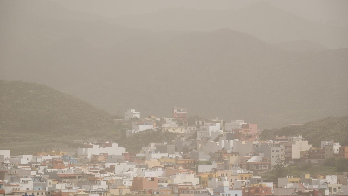 Calima en el municipio tinerfeño de La Laguna.