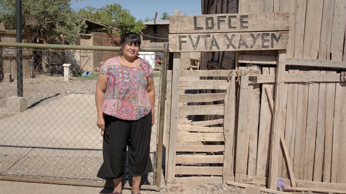 En Añelo, corazón de Vaca Muerta, la comunidad mapuche Fvta Trayén denuncia que la tranquilidad ya no es la misma. Hay contaminación y falta Pastora para los animales.