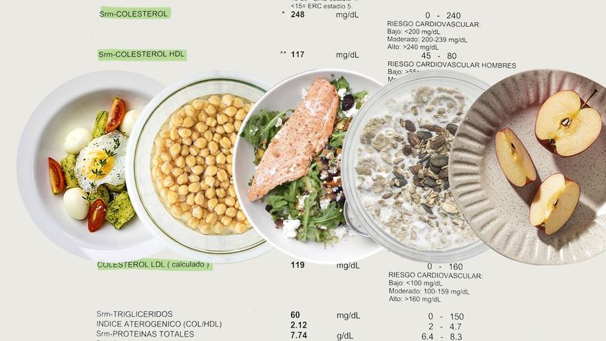 ¿Qué tipo de alimentación puede ayudarnos a mantener unos niveles de colesterol saludables?