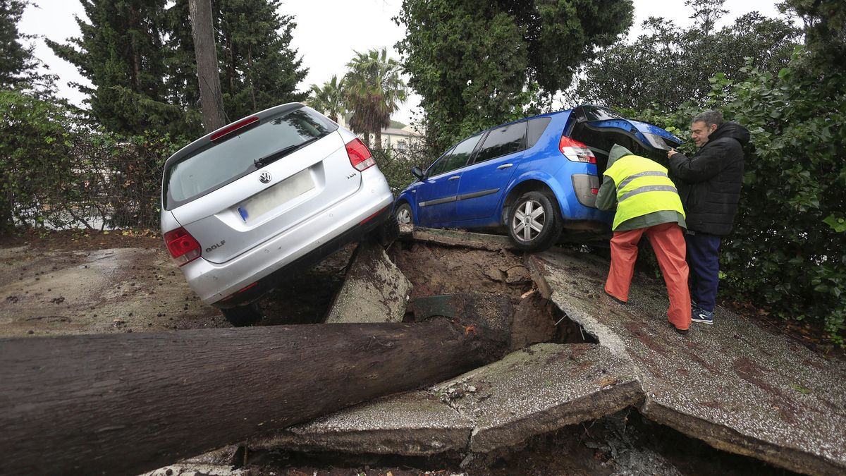 Dos personas junto a unos vehículos atrapados al levantarse el pavimento tras caerse un árbol este miércoles en Los Barrios (Cádiz).