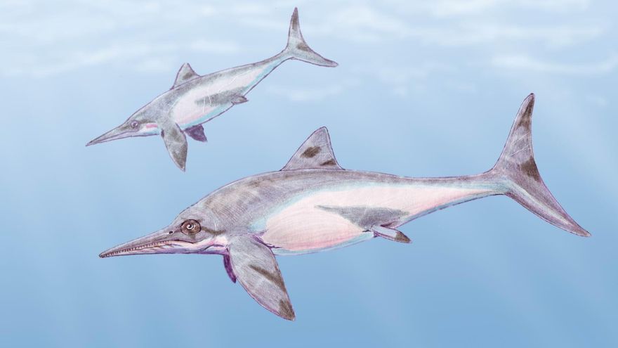 El deshielo de un glaciar deja al descubierto un enorme yacimiento de reptiles marinos prehistóricos
