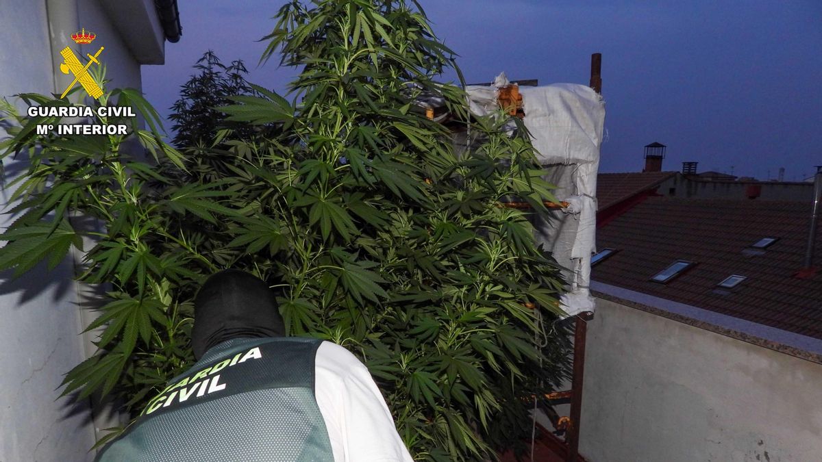 La Guardia Civil detiene a dos personas e interviene casi un kilo de droga en la provincia de León