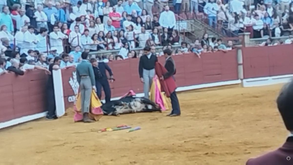Una imagen extraída del vídeo que han denunciado colectivos animalistas por sufrimiento animal.