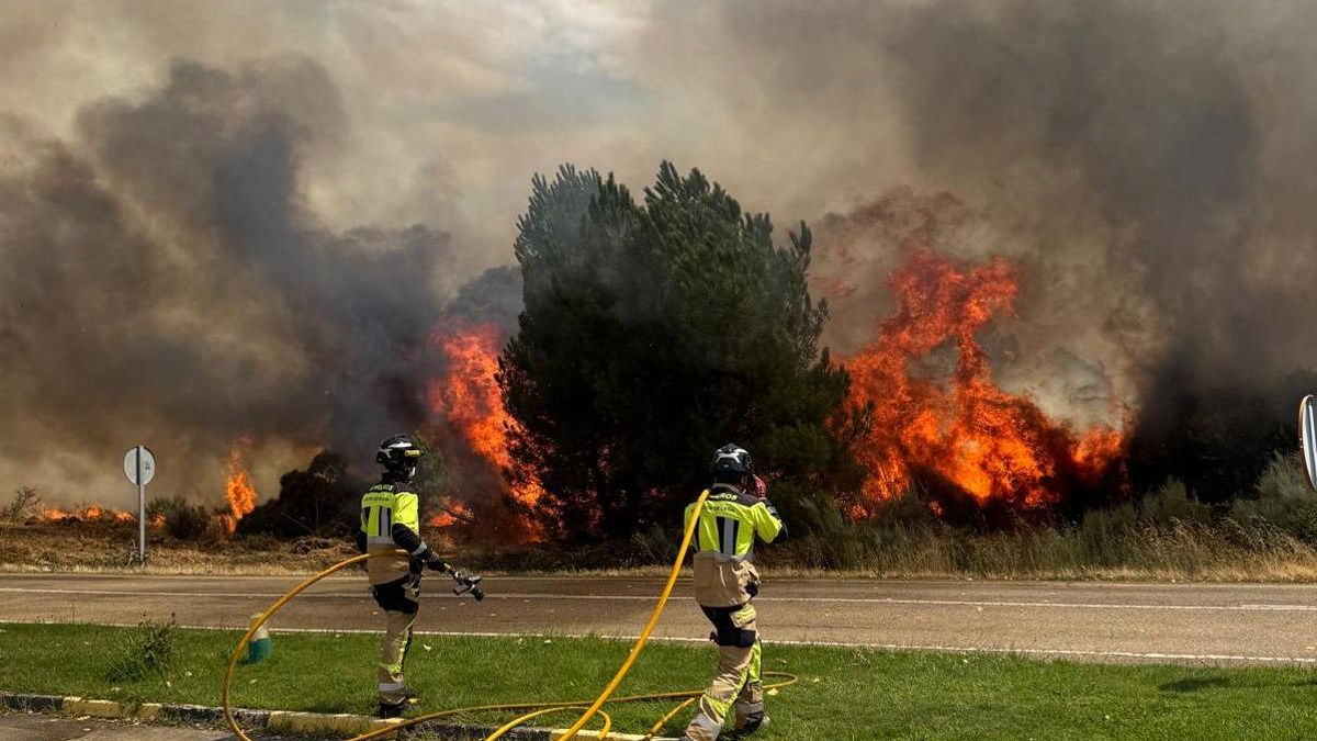 Bomberos enfrentándose a llamas que intentan entrar a un pueblo en el Sur de León.