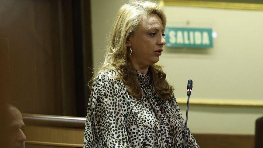 Valido solicita al Gobierno que la nueva directriz de riesgo volcánico se base en criterios científicos y reconozca la singularidad de Canarias