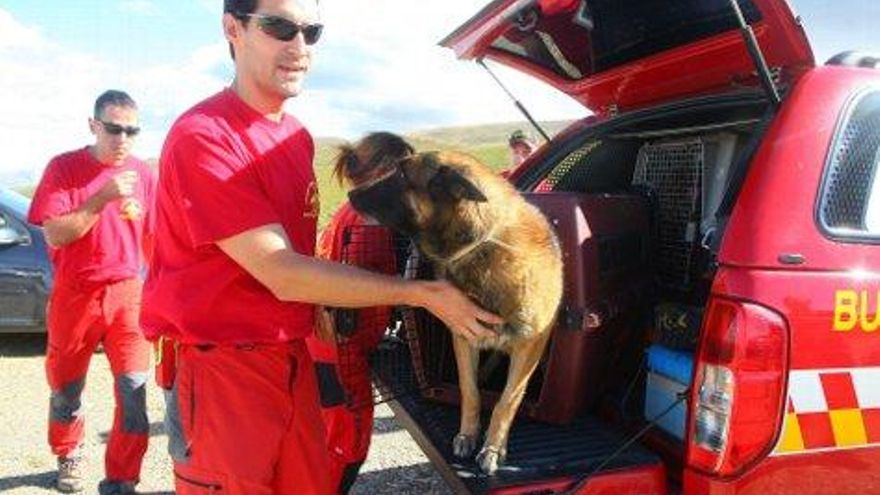 César Sánchez / ICAL Tres perros de la Unidad Canina de Salvamento se suman a la búsqueda de la mujer desaparecida en El Morredero