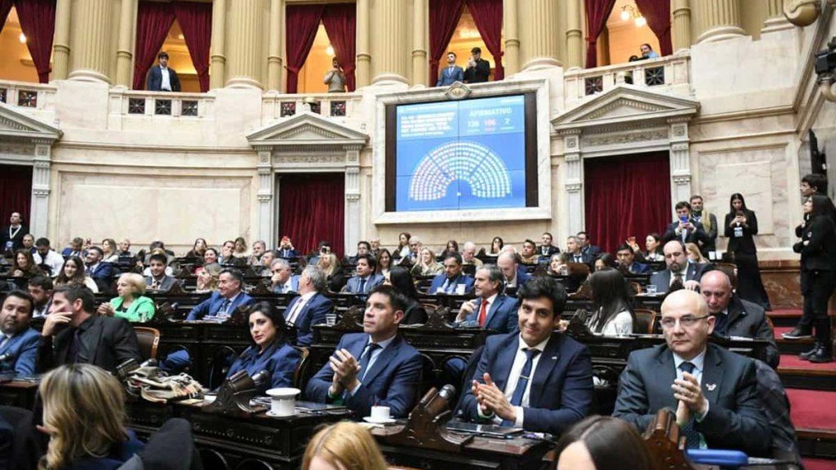Super Rigi en diputados