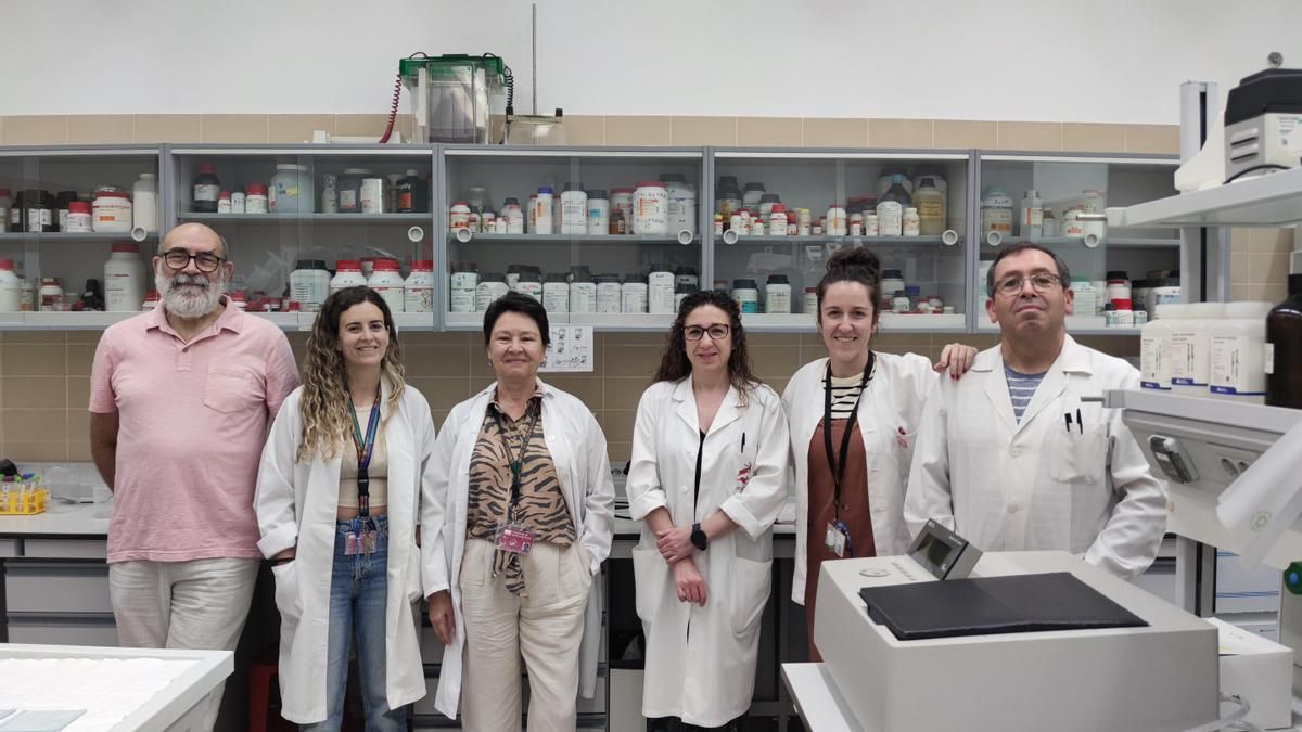 No solo la obesidad: un estudio de la UCLM explora otro posible origen de la diabetes tipo 2