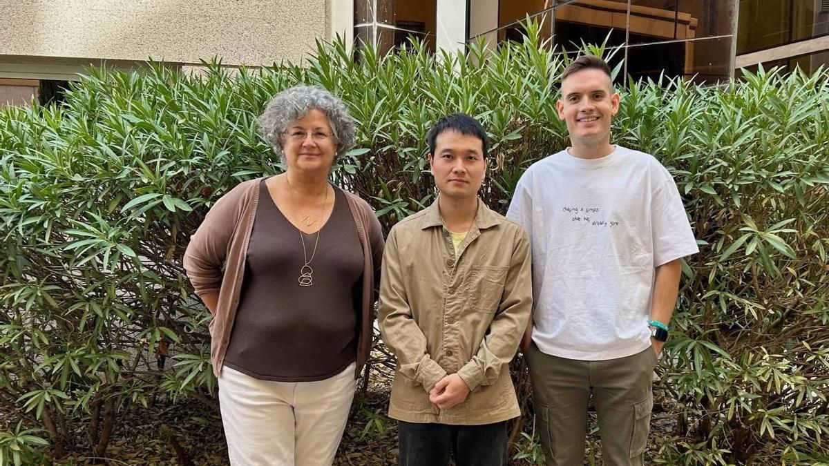 Científicos españoles consiguen evitar cirugías innecesarias en cáncer de páncreas gracias a un algoritmo de IA