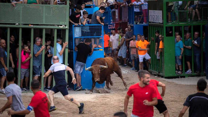 Un menor de 15 años herido tras sufrir una cogida en los 'bous al carrer' de Vilamarxant