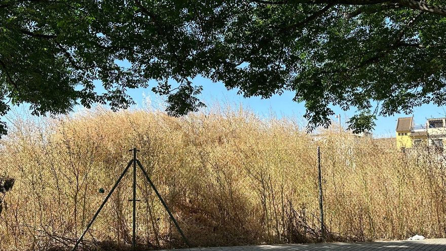 Exigen al Ayuntamiento la adecuación urgente de los solares con vegetación seca ante el riesgo de incendio