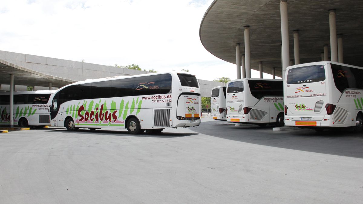 Autobuses de Socibus en la estación de Córdoba