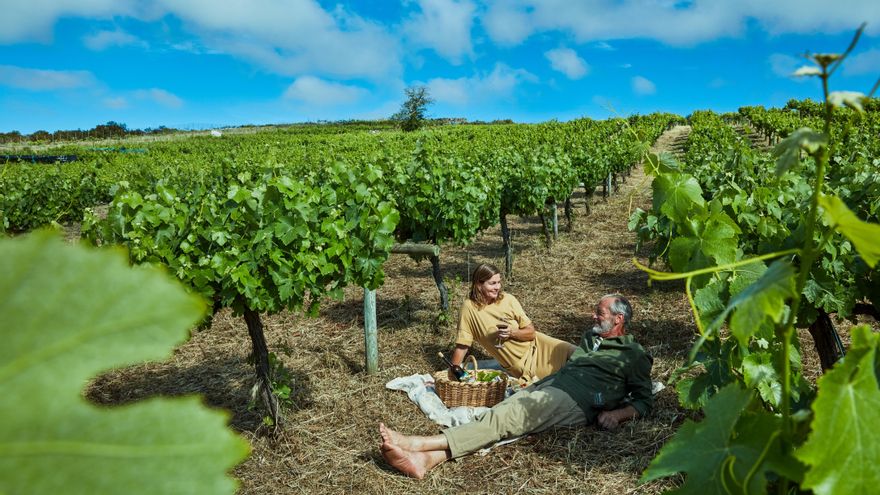 Bodegas Monje, en Tenerife