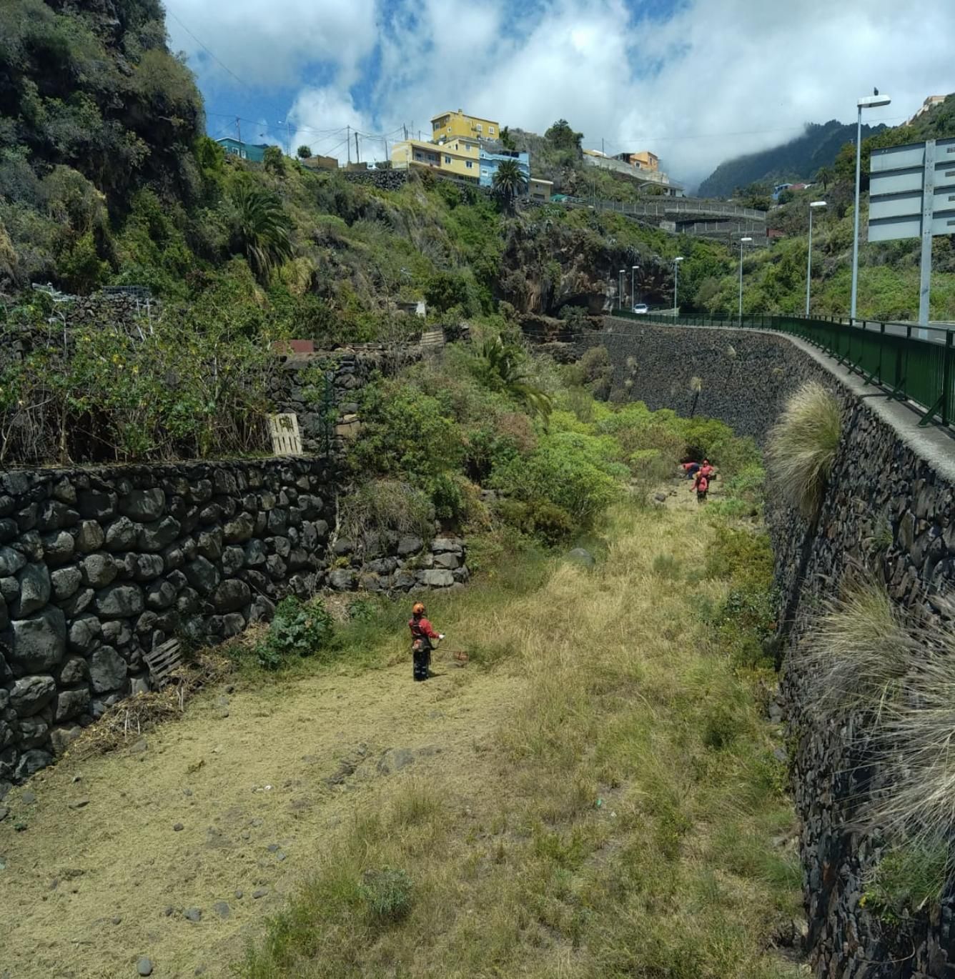 Adecuación y limpieza del Barranco de Las Nieves de cara a las Fiestas Lustales.