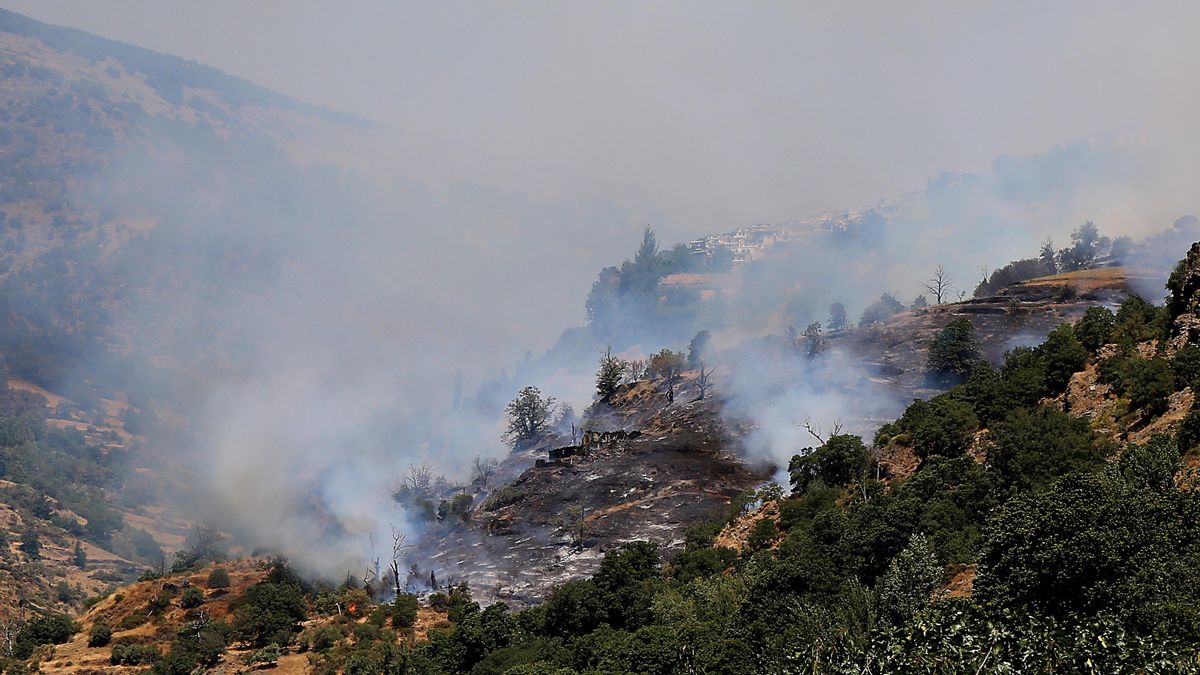 Imagen de archivo de un incendio forestal. EFE/Pepe Torres