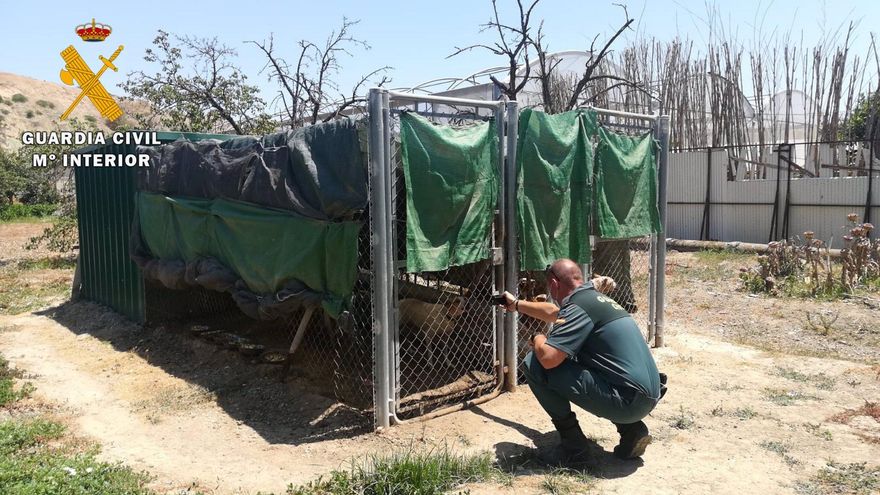 Mata de un disparo al perro de un vecino con el que está enemistado en Córdoba