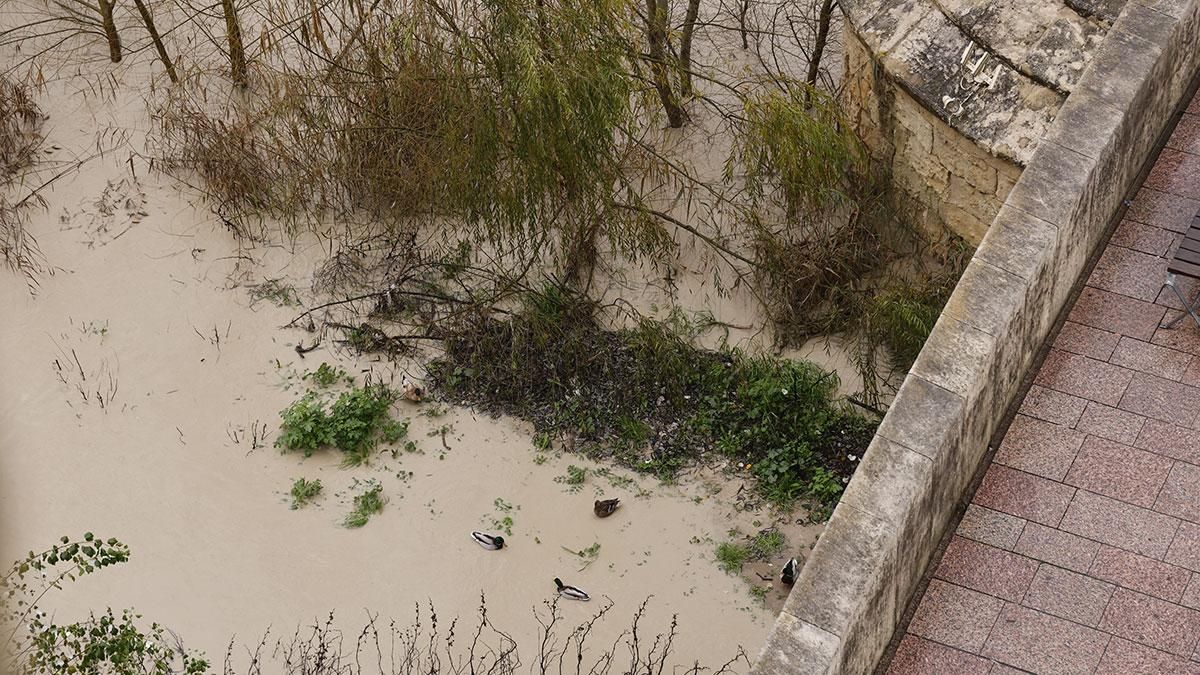 El río Guadalquivir ha superado el umbral naranja a su paso por Córdoba