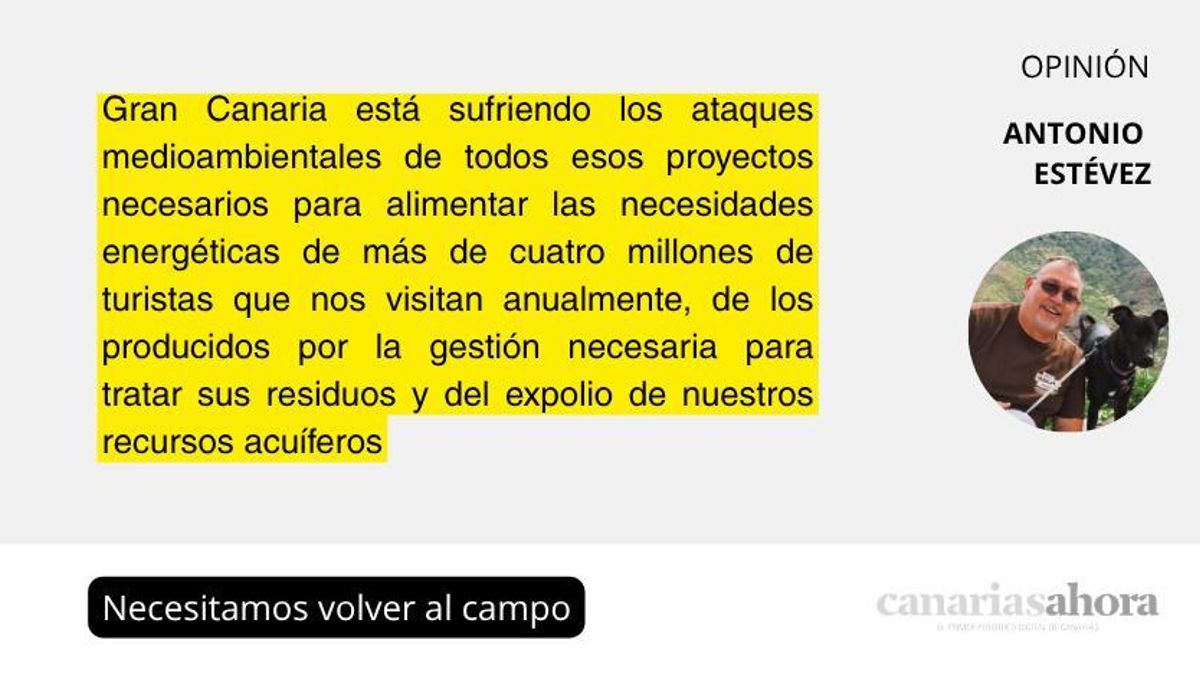 Necesitamos volver al campo