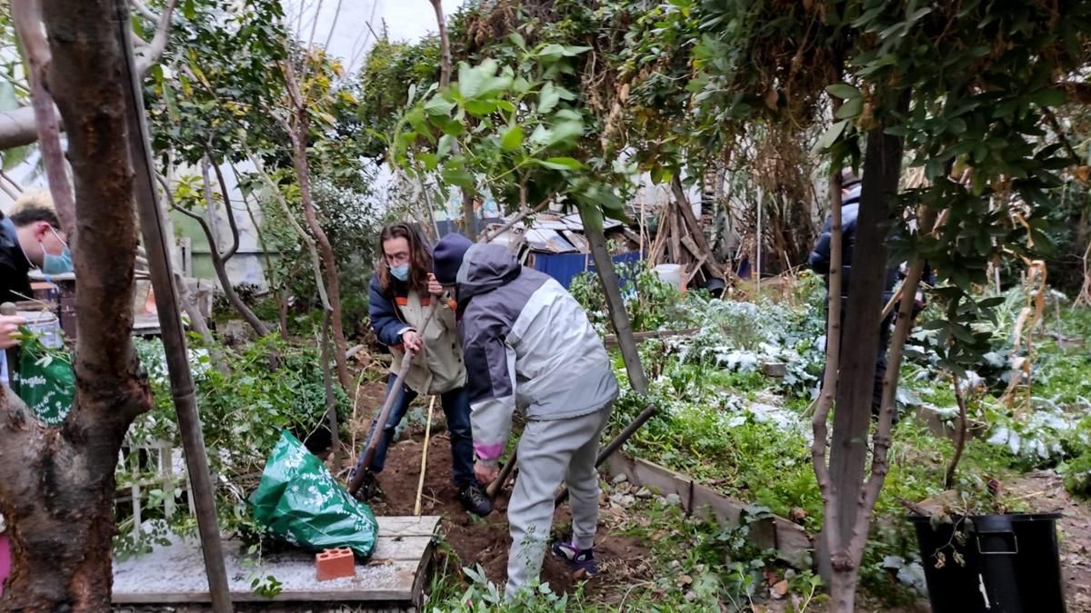 Salvando todos los árboles posibles