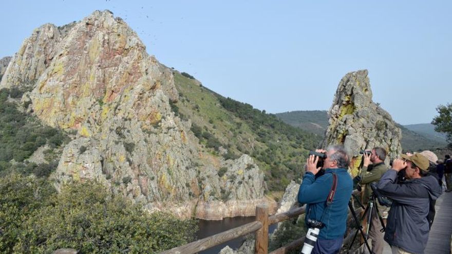 Monfragüe presume ante el mundo de su privilegiada atalaya para observar aves