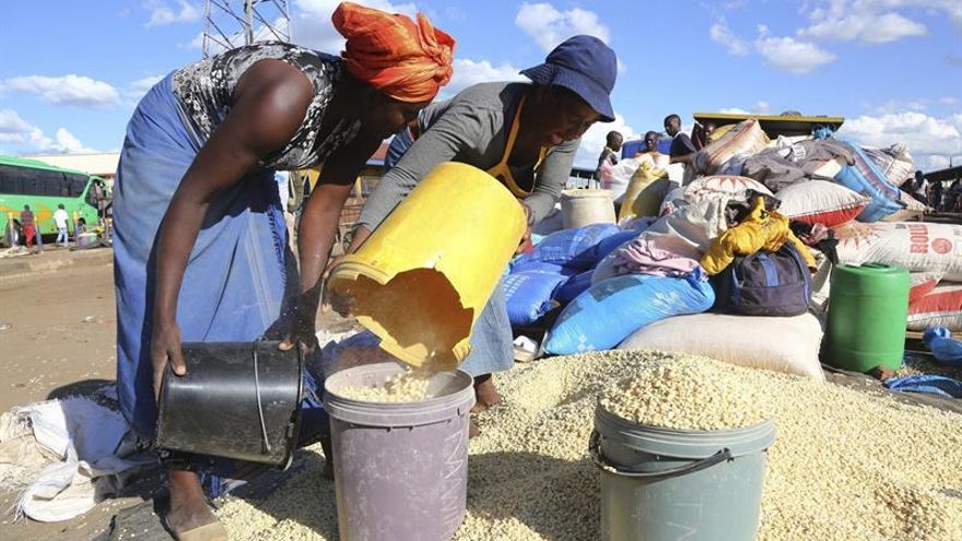 Los países africanos que invierten en agricultura aumentan su PIB, según un estudio