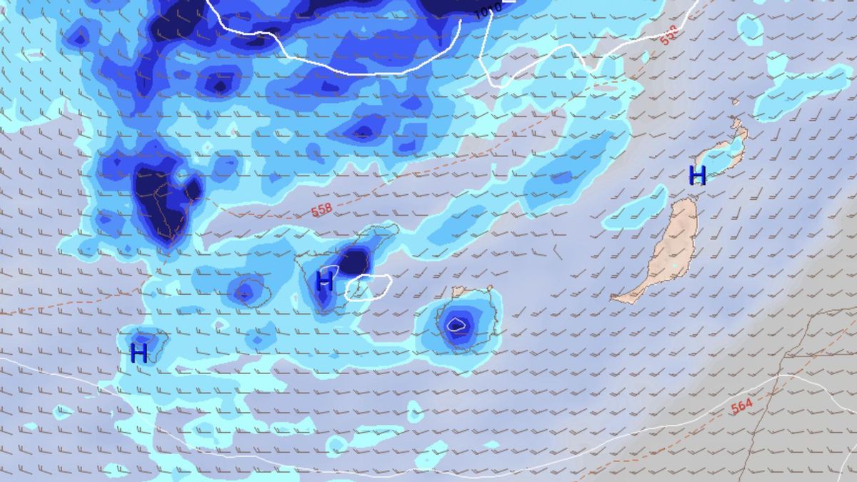 Mapa de lluvias esperadas en Canarias para el próximo sábado, según el modelo de previsión europeo.