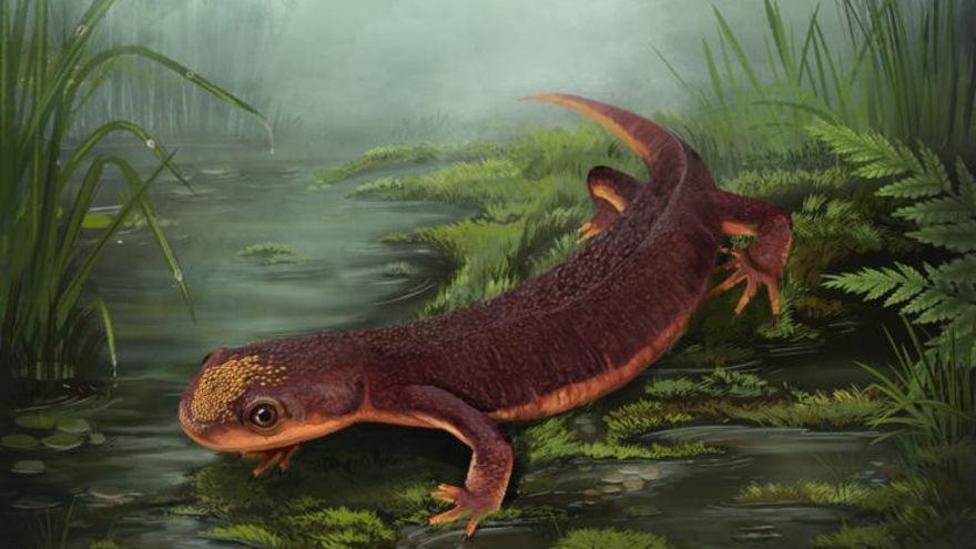 Fósiles de 150 millones de años revelan una nueva especie de un enigmático anfibio del Jurásico