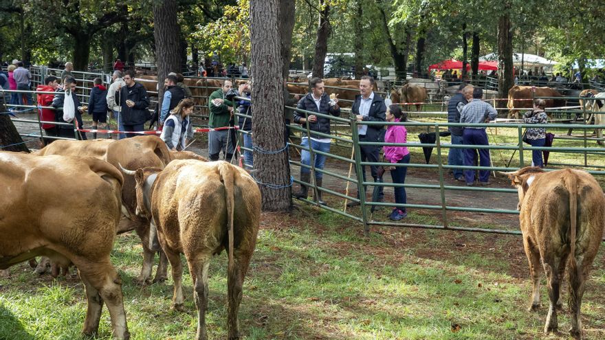 El consejero de Desarrollo Rural, Ganadería, Pesca, Alimentación y Medio Ambiente, Guillermo Blanco, asiste a la tradicional feria ganadera de Alceda (Corvera de Toranzo)