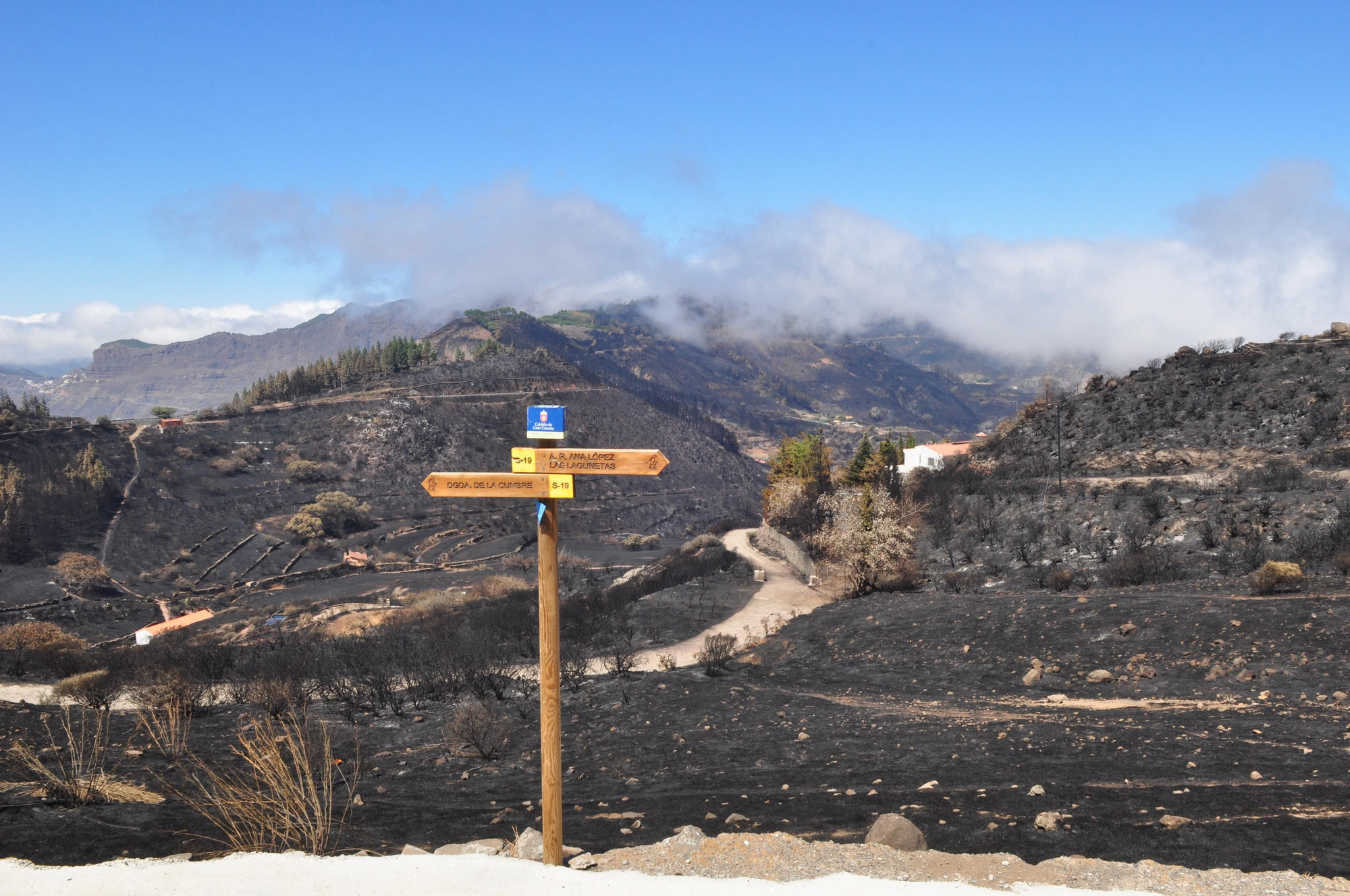 Cumbre de Gran Canaria calcinada