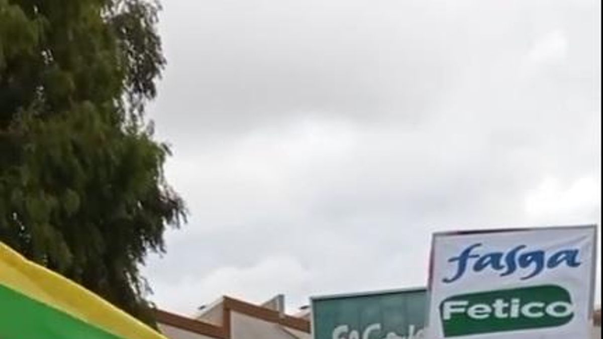 Lectura de un manifiesto tras la manifestación de este domingo en Linares.