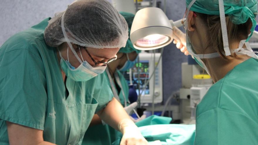 "Récord histórico" de donantes de órganos y tejidos en Castilla-La Mancha durante 2023