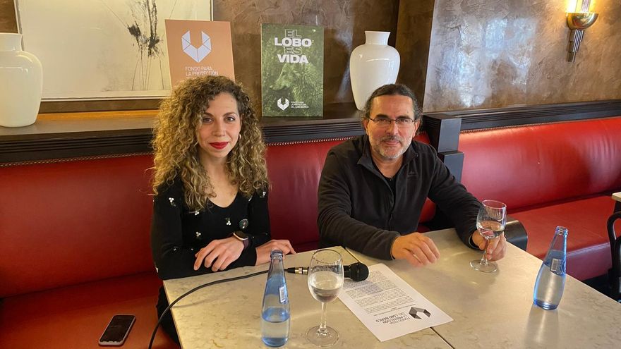 Arranca en Asturias el Fondo para la Protección del Lobo Ibérico