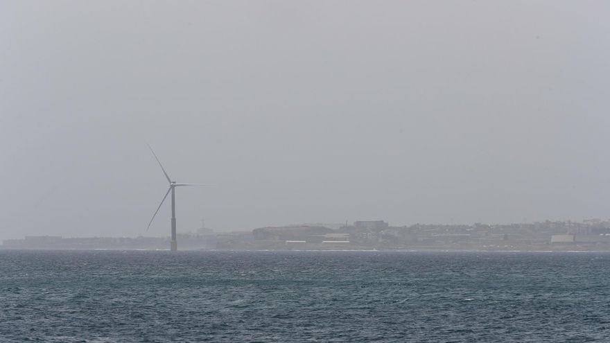 Más allá de las microalgas: los cambios en las costas isleñas por el calentamiento del mar