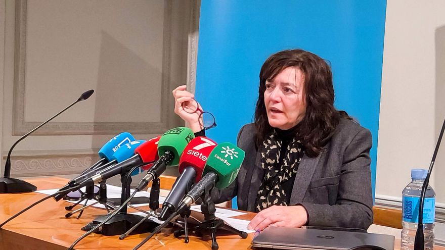 La decana del Colegio de Arquitectos de Málaga, Susana Gómez de Lara, en rueda de prensa.