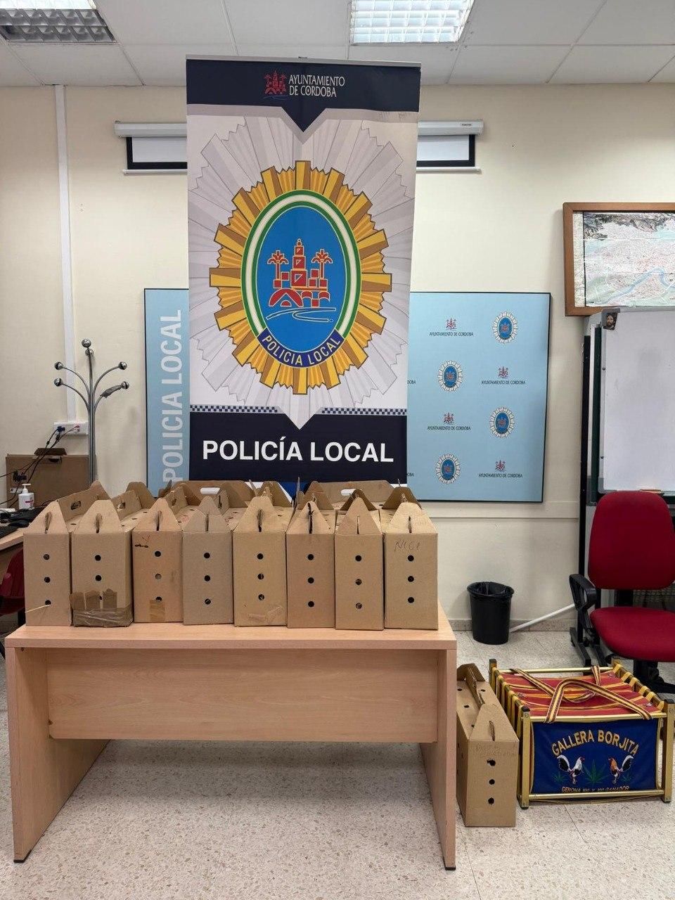 Cajas de cartón donde transportaban los gallos