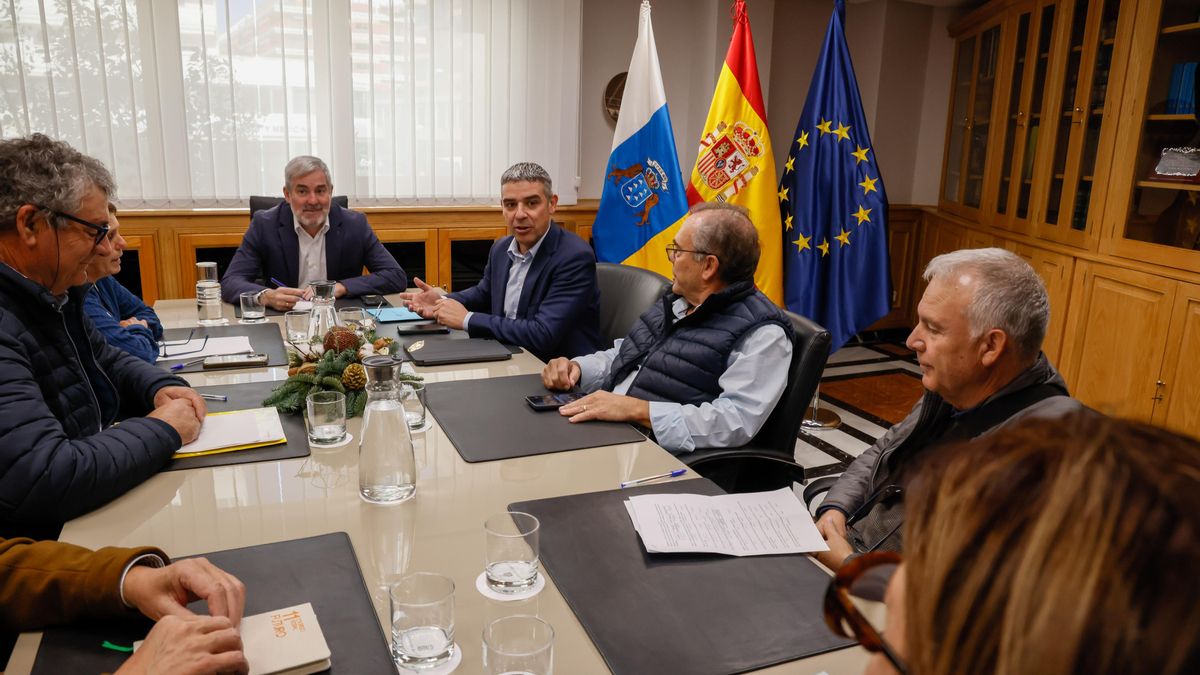 El Gobierno de Canarias confirma el adelanto de los millones pendientes para cubrir todos los pagos del Posei adicional