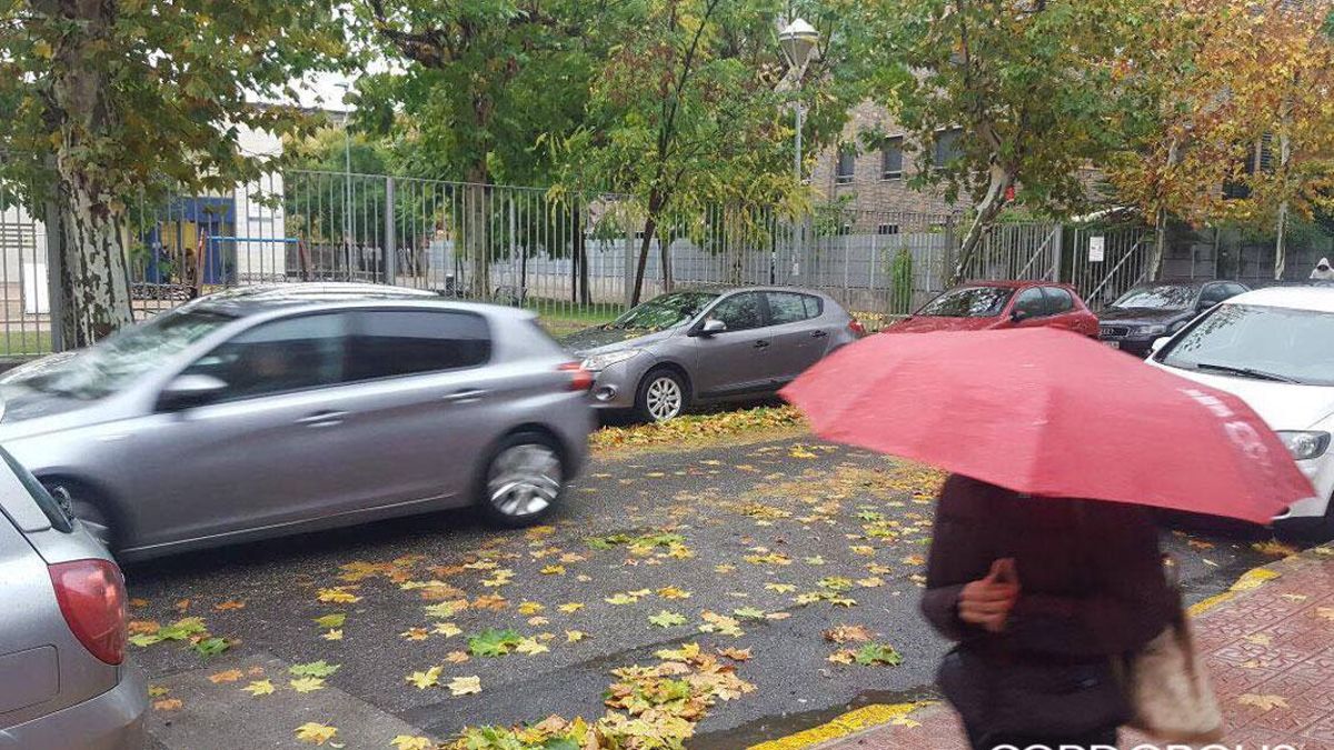 Aspecto de una calle de Córdoba tras el paso de un  temporal