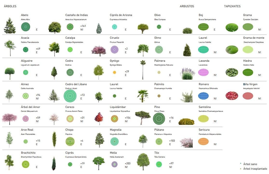 Especies de árboles que incluye Welcome Mother Nature