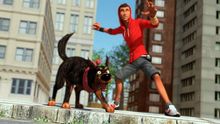 Hablan los indies: Entrevista a Animatoon