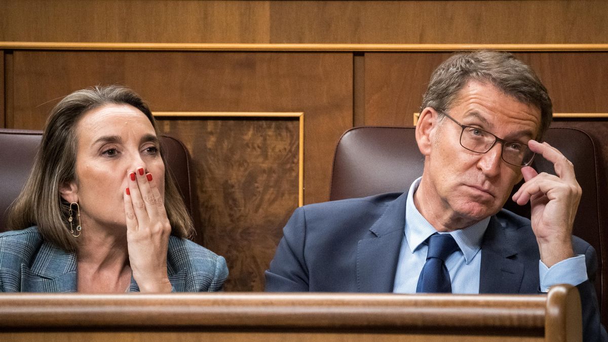 La secretaria general del PP, Cuca Gamarra, y el presidente del Partido Popular, Alberto Núñez Feijóo, durante la primera sesión del debate de investidura de Pedro Sánchez como presidente de Gobierno, en el Congreso de los Diputados, a 15 de noviembre de