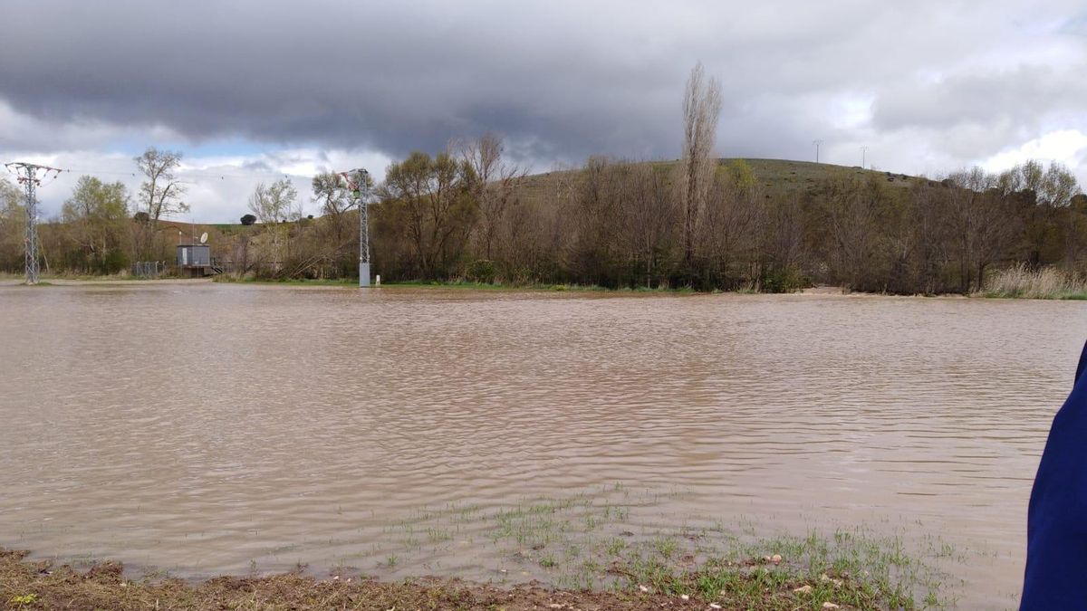 El río Henares el sábado 30 de marzo de 2024 a su paso entre las localidades de Jadraque y Jirueque (Guadalajara)