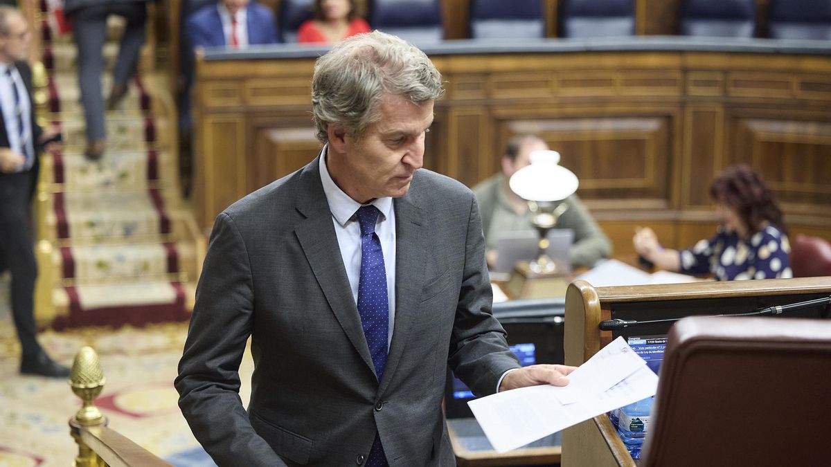 El presidente del Partido Popular, Alberto Núñez Feijóo, durante una sesión plenaria, en el Congreso de los Diputados