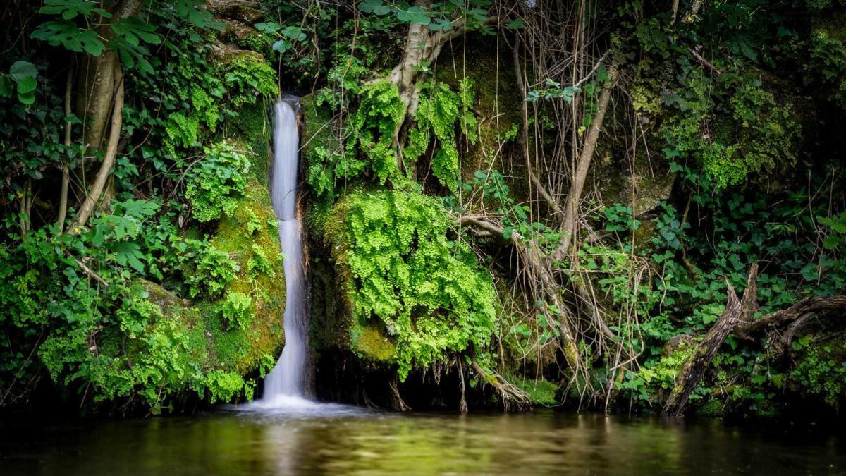 A media hora de Córdoba: la Reserva Natural Fluvial en medio del bosque con una cascada y pozas para huir del calor