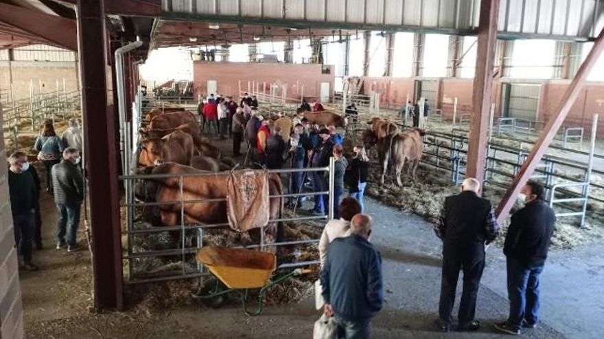 La Feriona de 2021 en Villablino. / Luis Álvarez