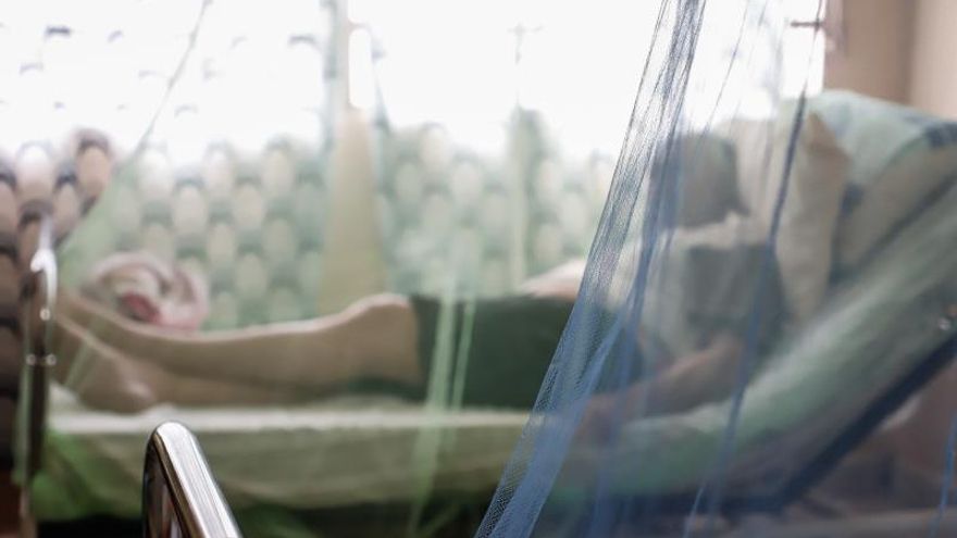 Confirman la segunda muerte por dengue en Argentina en lo que va de 2020