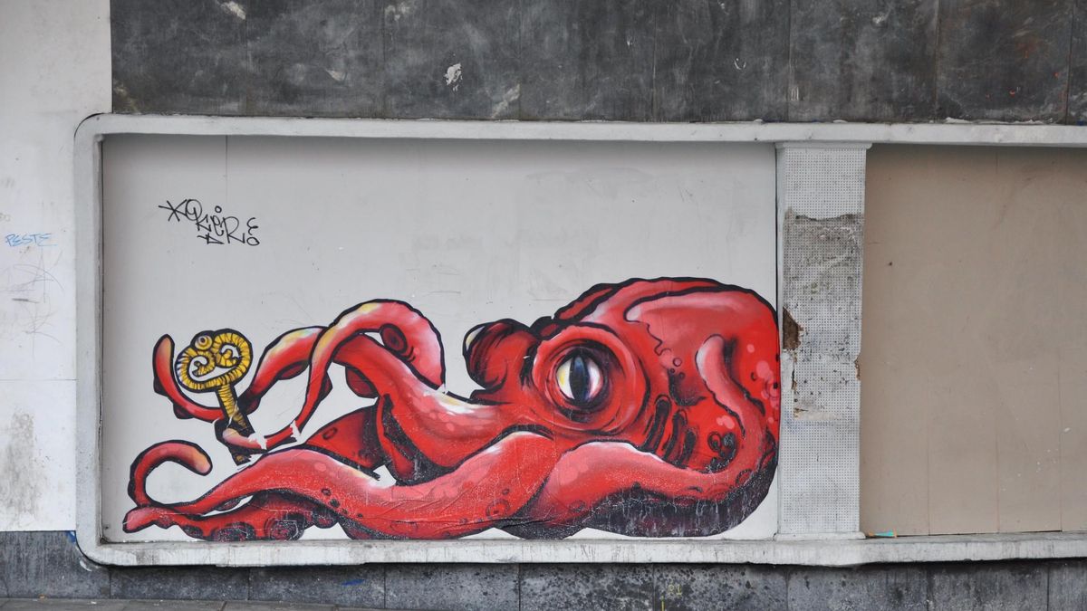 Arte callejero en los tapiales de Miguel Bombarda.