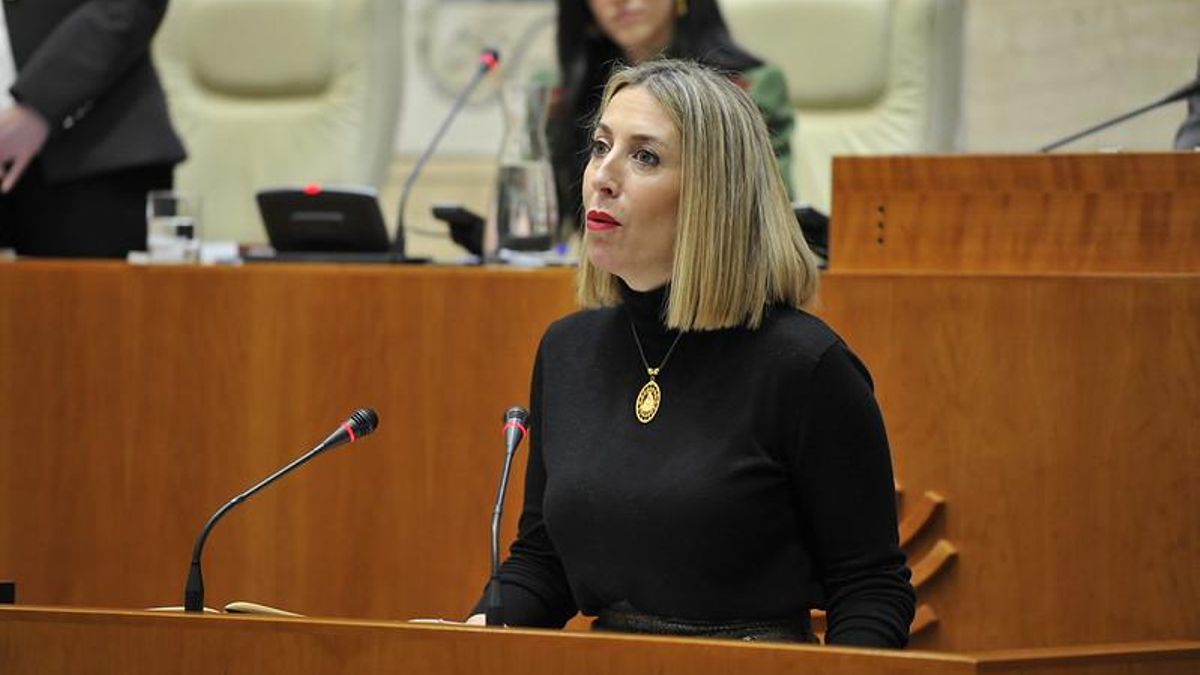 Guardiola insiste en que Vox tiene "en su mano" entrar en la Junta, pero exige a Abascal "proporcionalidad"