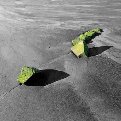 Premio Adquisición Patatas Hijolusa a un autor leonés  Esther Santás Fuertes – León  “Green”  Fotografía